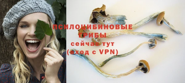 винт Лабытнанги