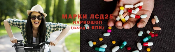 мяу мяу мука Ладушкин