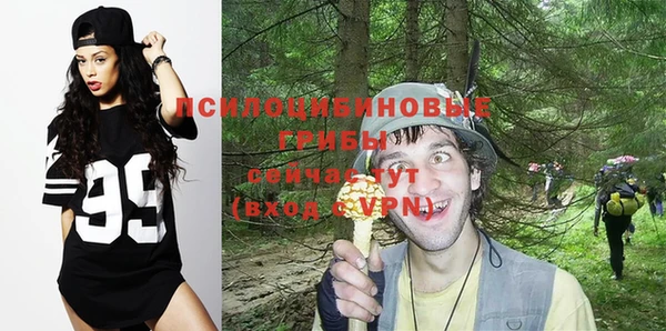 мяу мяу мука Ладушкин