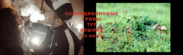 дживик Лагань
