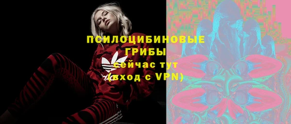 мяу мяу мука Ладушкин