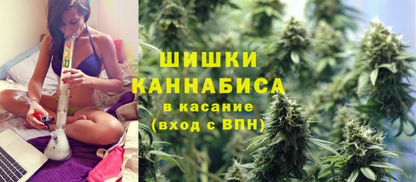 винт Лабытнанги