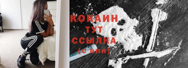 дживик Лагань