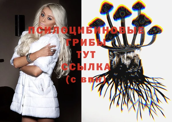 мяу мяу мука Ладушкин